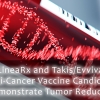 LineaRx and Takis/Evvivax Anti-Cancer Vaccine Candidates Demonstrate Tumor Reduction
