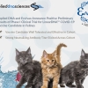 12 April 2021 – Applied DNA and Evvivax Announce Positive Preliminary Results of Phase I Clinical Trial for LinearDNA™ COVID-19 Vaccine Candidate in Felines